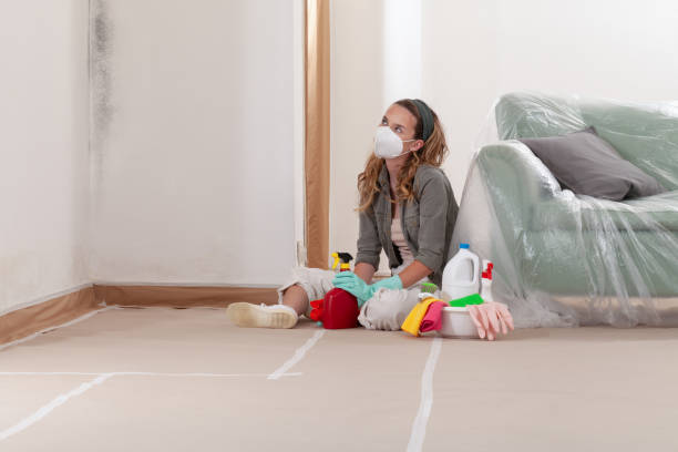Reliable Mold Remediation contractor in Parsippany, NJ by Cheap Mold Removal